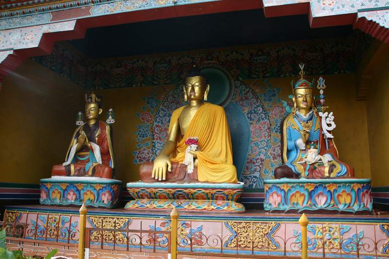 India & Nepal 2011 - 0466